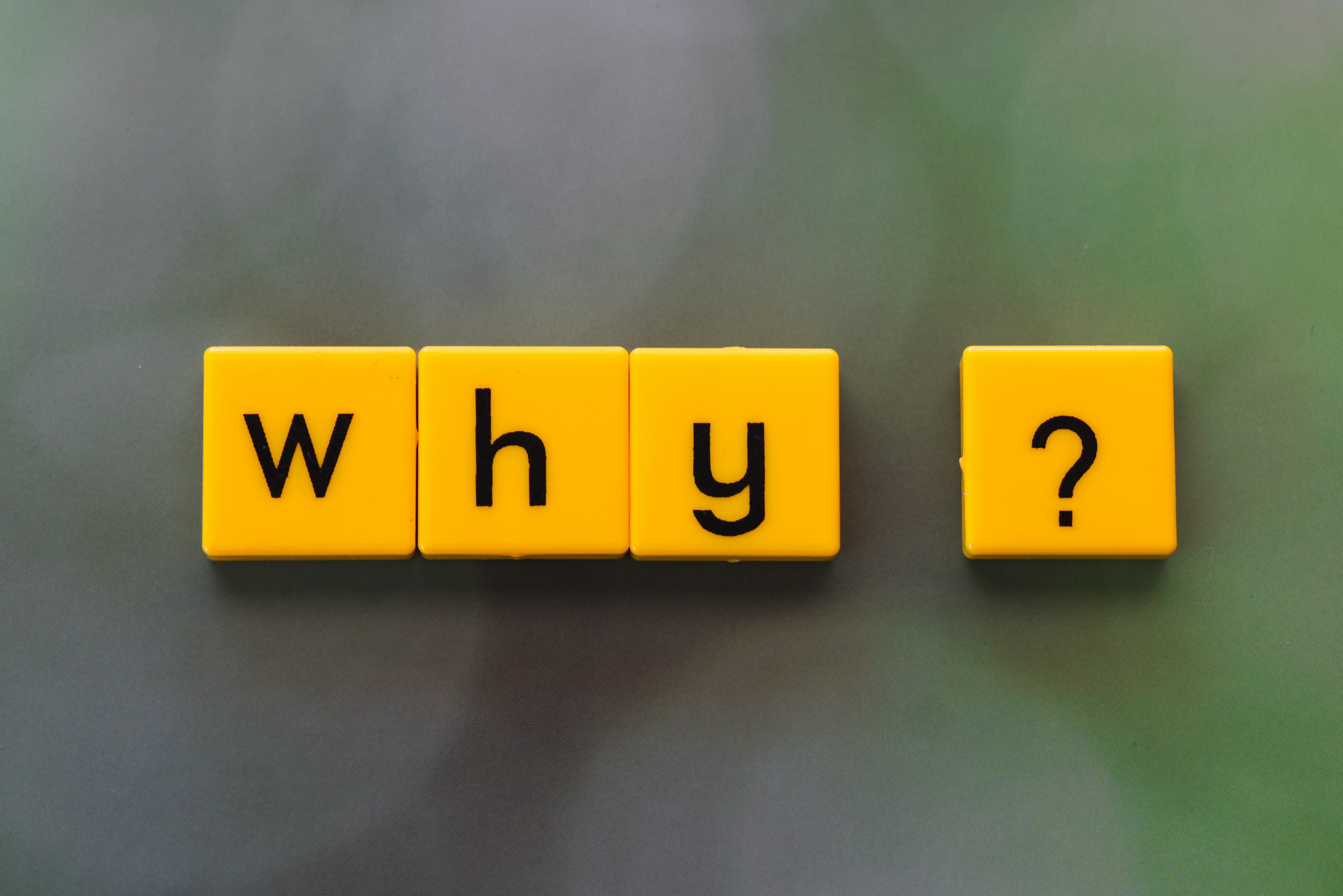 COURSES Yellow letter tiles spelling 'why?' create a thought-provoking scene on a green blurred background.
